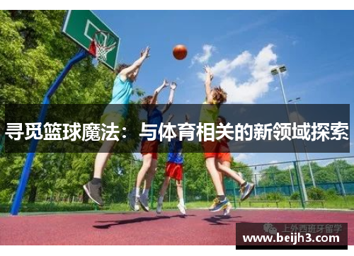 寻觅篮球魔法：与体育相关的新领域探索